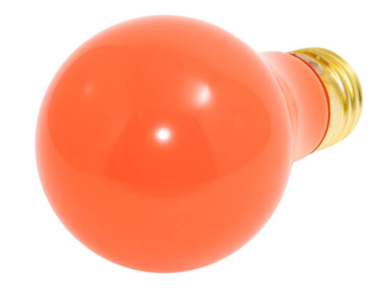 Image of 