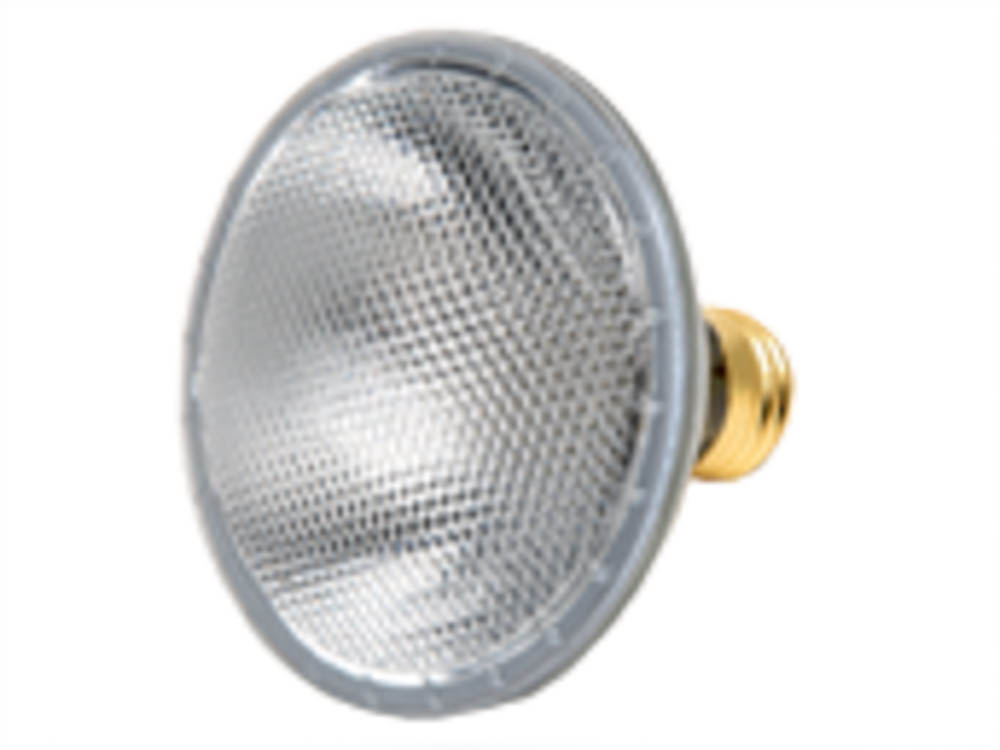 Plusrite FAN3119 75PAR30/FL/130 75 Watt, 130 Volt Halogen PAR30 Flood