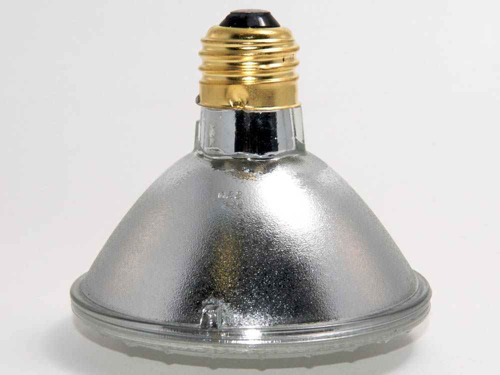 Plusrite FAN3119 75PAR30/FL/130 75 Watt, 130 Volt Halogen PAR30 Flood
