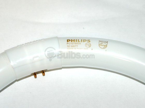 Philips Lighting 262600 FC12T9/D (Daylight) Philips 32W 12in Diameter T9 Daylight White Circline Bulb