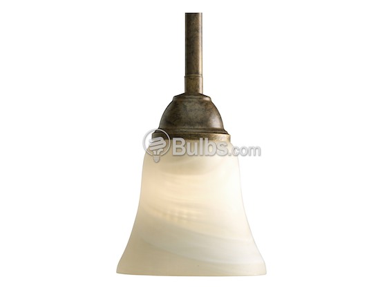 Progress Lighting P5194-86WB Directional Mini-Pendant Fixture, Savannah Collection, Burnished Chestnut Finish