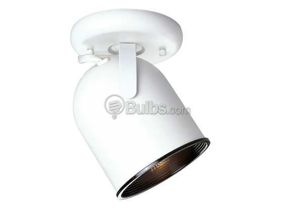 Progress Lighting P6144-30 One-Light Fixture With Multi-Directional Head, White Finish