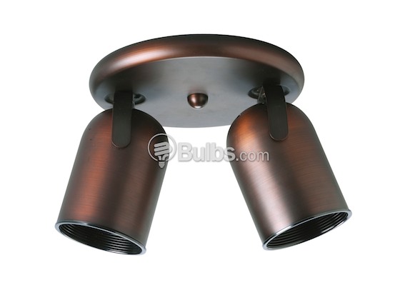Progress Lighting P6149-174 Two-Light Fixture With Multi-Directional Heads, Urban Bronze Finish