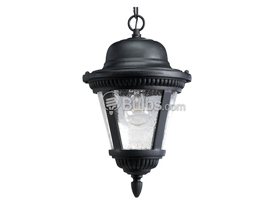 Progress Lighting P5530-31 One-Light Outdoor Hanging Lantern Fixture, Westport Collection, Black