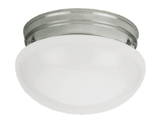 Sea Gull Lighting 5326-962 Close-to-Ceiling, One-Light Fixture, Webster Collection, Brushed Nickel