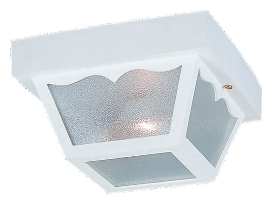 Sea Gull Lighting 7569-15 Two-Light Outdoor Ceiling Light Fixture, White