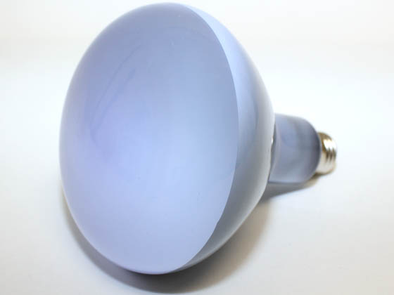 Bulbrite 711066 65R40FL/N 65 Watt, 120 Volt R40 Neodymium True Daylight Reflector Bulb