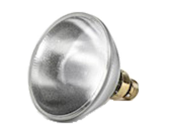 Philips Lighting 428896 53PAR38/EVP/SP10 Philips 53 Watt, 120 Volt Halogen PAR38 Spot