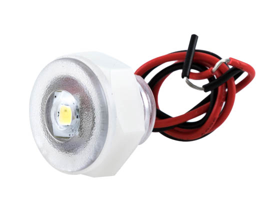 Lumitec Lighting 101084 Newt Livewell/Courtesy Newt Marine Live Well and Engine Well Light with White Output