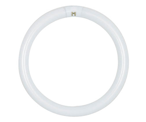 Satco Products, Inc. S6504 FC12T9/D 32 WATT DAYLIGHT Satco 32 Watt T9 Circline Fluorescent Lamp, 6500K, 4-Pin base