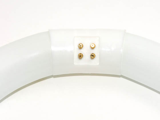 Vision Max 17429 FC8T9/D (DISCONTINUED) 22 Watt, 8" Diameter Daylight White T9 Circline Bulb