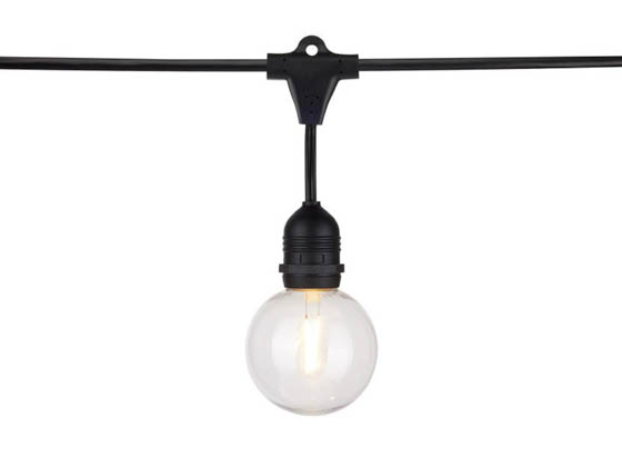 Satco Products, Inc. S8034 24FT/LED/SL/G25/822K/120V Satco 12 socket 24ft LED String Light with Clear 2200K G25 Bulbs Included