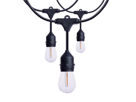 Satco Products, Inc. S8020R1 24FT/LED/SL/S14/27K/120V Satco 12 Socket 24 Foot LED String Light with Clear 2700K S14 Bulbs Included