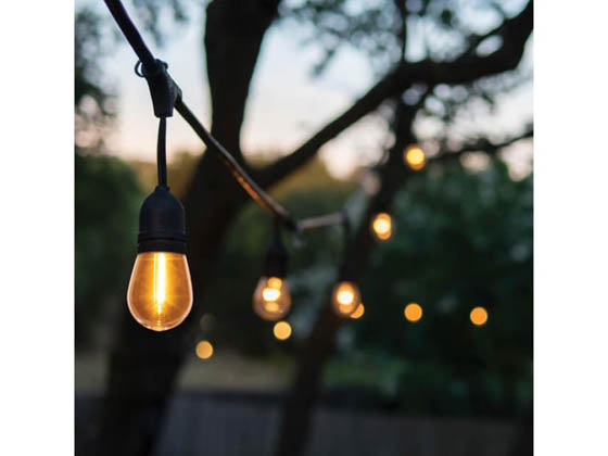 Satco Products, Inc. S8021R1 1W/LED/S14/CL/27K/120V/ND/4PK Satco 1 Watt S14 LED String Light Replacement Lamp 2700K, Clear Glass, 120 Volt