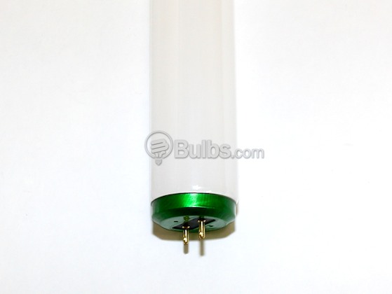 Philips Lighting 142562 F34T12/850/EW ALTO DISCONTINUED (USE 423897) Philips 34 Watt, 48 Inch T12 Bright White Fluorescent Bulb