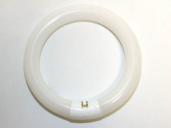 Halco Lighting HAL37501 FC8T9CW Halco 22W 8" Diameter T9 Cool White Circline Bulb