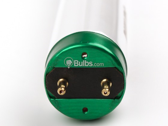 Philips Lighting 281824 F32T8/TL730/PLUS/ALTO 32W Disc use 281659 Philips 32 Watt, 48 Inch Long Life T8 Warm White Fluorescent Bulb