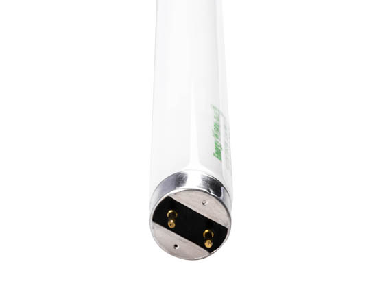 Bulbrite 528132 F32T8/735/EW 32W Fluorescent T-8 Bulb Neutral White