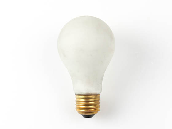 100 Watt Tough Skin Light Bulb 
