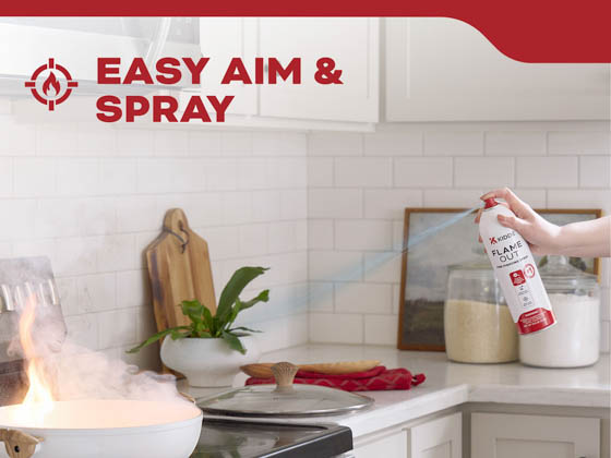 Kidde KAP-14K 21032937 Flame Out Single Use Fire Fighting Spray