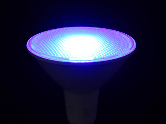 Bulbrite 772504 LED15PAR38/FL/BLU/D 15 Watt Dimmable Blue PAR38 LED Bulb, Wet Rated