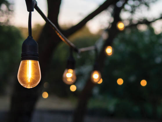 Satco Products, Inc. S8020R1 24FT/LED/SL/S14/27K/120V Satco 12 Socket 24 Foot LED String Light with Clear 2700K S14 Bulbs Included