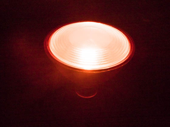 Philips Lighting 469106 13.5PAR38/RED/FLOOD/ND ULW Philips Non-Dimmable 13.5W Red 40° PAR38 LED Bulb, Outdoor Rated