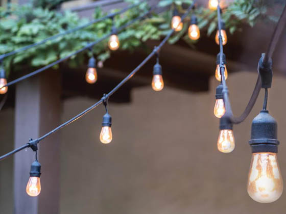 Satco Products, Inc. S8020 24FT/LED/STRING LIGHT/120V Satco 12 socket 24ft LED String Light with Clear 2700K S14 Bulbs Included