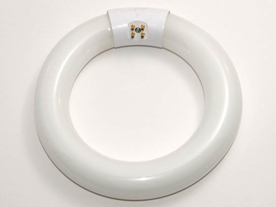 Philips Lighting 249821 FC6T9/CW Philips 20W 6.5in Diameter T9 Cool White Circline Bulb