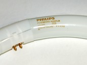 Philips Lighting 391177 FC12T9/Utility Philips 32W 12in Diameter T9 Cool White Circline Bulb