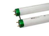 Philips Lighting 226720 FB31/TL835/ALTO Philips 31W 1.6in Gap T8 Neutral White UBent Fluorescent Tube