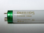 Philips 15W 18in T8 Cool White Fluorescent Tube