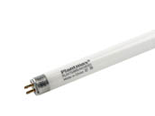 Plantmax PX-FL24/865 24W 22in T5 HO Daylight White Plant Grow Fluorescent Tube