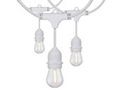 Satco Products, Inc. S8038 24FT/LED/SL/S14/822K/WH/120V Satco 12 socket 24ft LED String Light with Clear 2200K S14 Bulbs Included White Finish