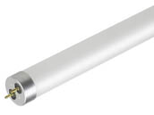 Archipelago Lighting LT8F41850DE5/2 Archipelago 18 Watt T8 Ballast Bypass LED Lamp, 5000K, Single or Double Ended Wiring