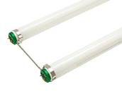 Philips 32W 6in Gap T8 Bright White UBent Fluorescent Tube (Case of 20)