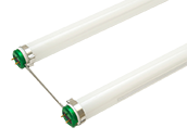 Philips 25W 6in Gap T8 Cool White UBent Fluorescent Bulb (Case of 20)