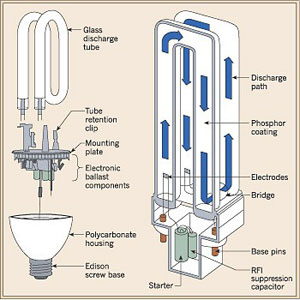 tøjlerne hver Sygdom Compact Fluorescent | Light Bulb Types | Bulbs.com